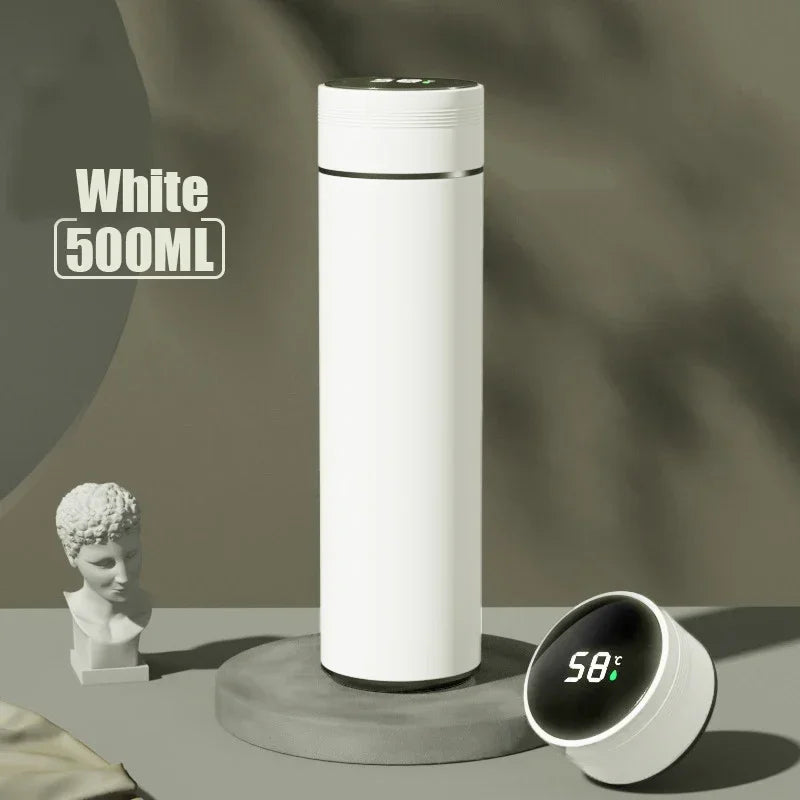 Temperature Display Thermos