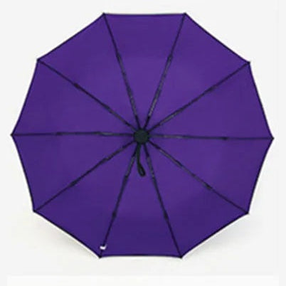 Double Layer Automatic Umbrella - Purple